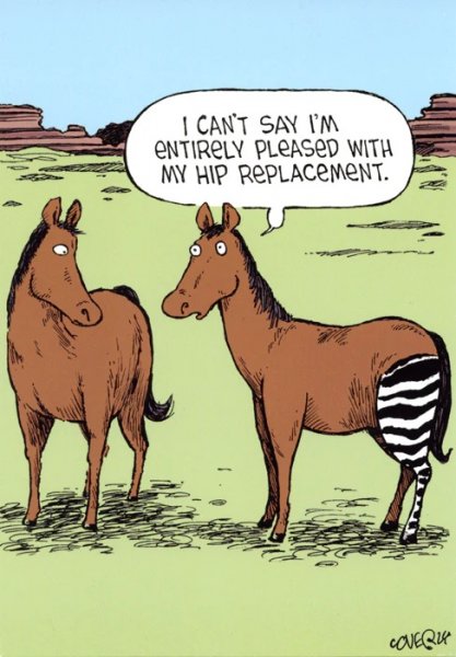 Hip replacement.jpg