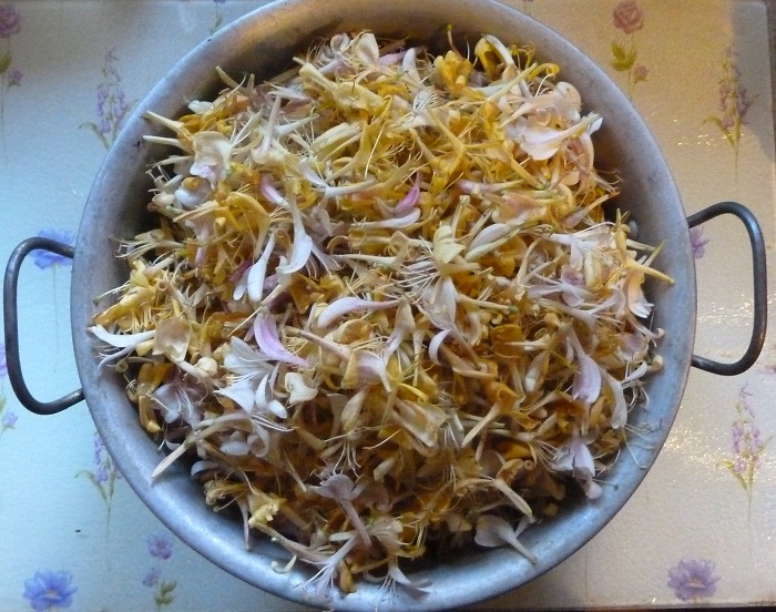 honeysuckle1.5litres.jpg