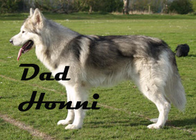 honni dad .jpg