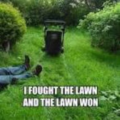 I fought the lawn.jpg