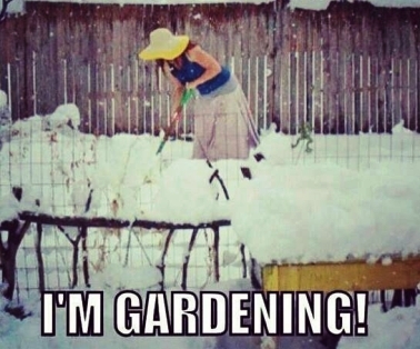 Im gardening-2.jpg