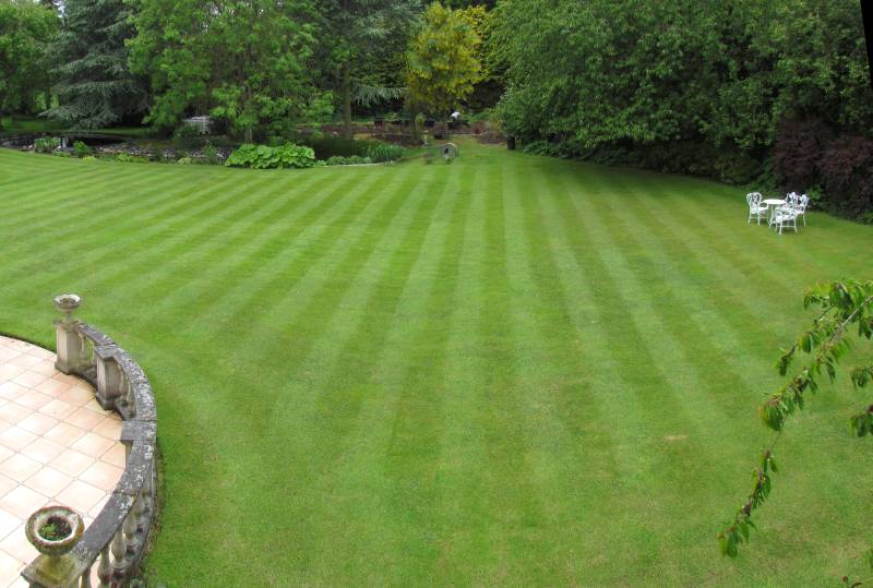 IMG_2542-43_LawnStripes.jpg