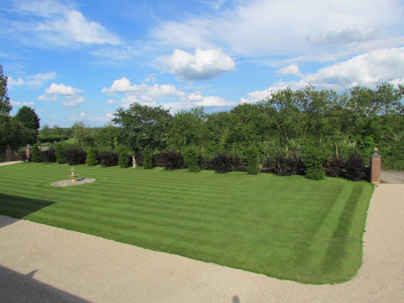 IMG_2587_LawnStripes.jpg