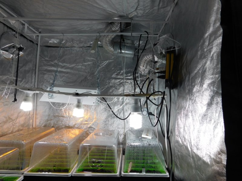 Indoor Growing Startup (8).JPG