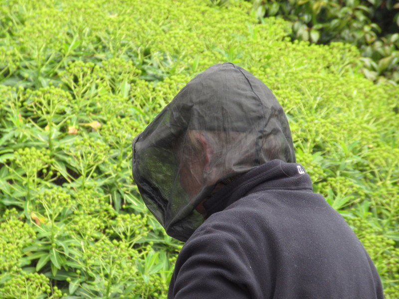 INVEREWE  GARDENERS  WITH  MIDGE  HOODS 05-07-2024 11-04-39.JPG