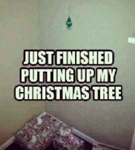 Just put up my tree.jpg