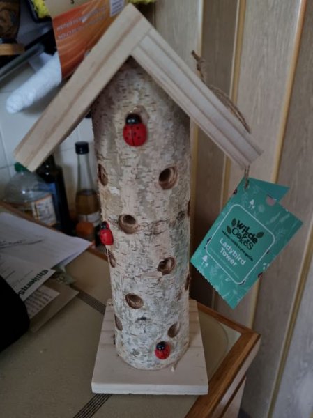 Ladybird tower.jpg