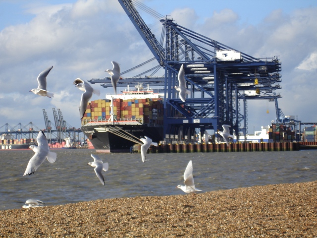 Landguard 014.JPG