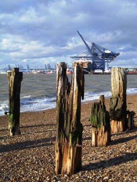 Landguard 024 - Copy.JPG