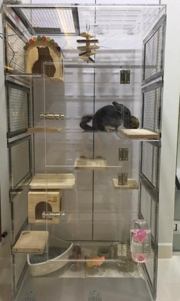 large_chinchilla_cage_1540620473_3393d3cd_progressive.jpg