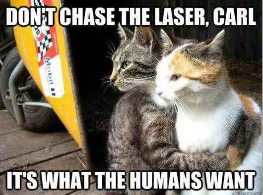 laser-chase.jpg