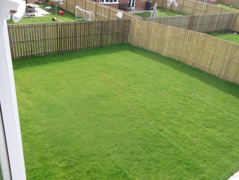 Lawn 1.jpg