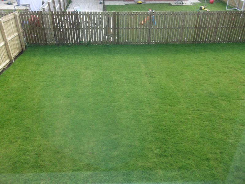 Lawn 2.jpg