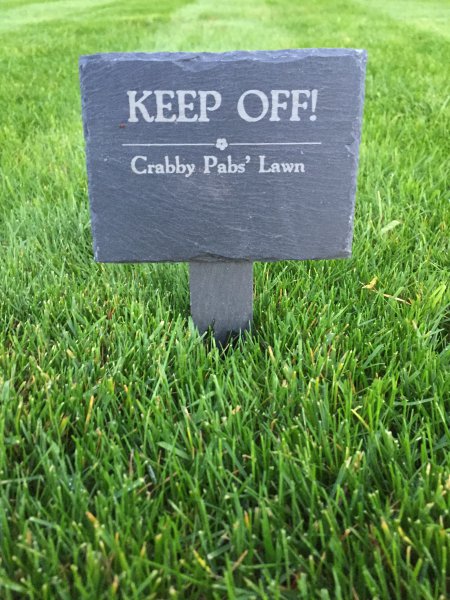 lawn.jpg