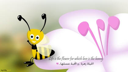 love flowers quotes honey bees life majd elhaj 1920x1080 wallpaper_www.animalhi.com_82.jpg