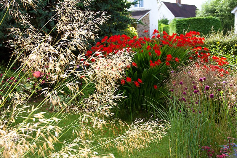 Lucifer-&-Stipa.jpg