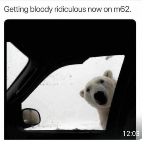 M62.jpg