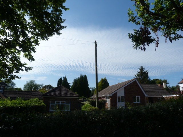 Mackerel sky  18 August 2012 001.JPG