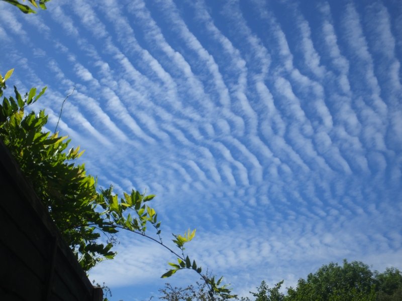 Mackerel Sky 2.JPG