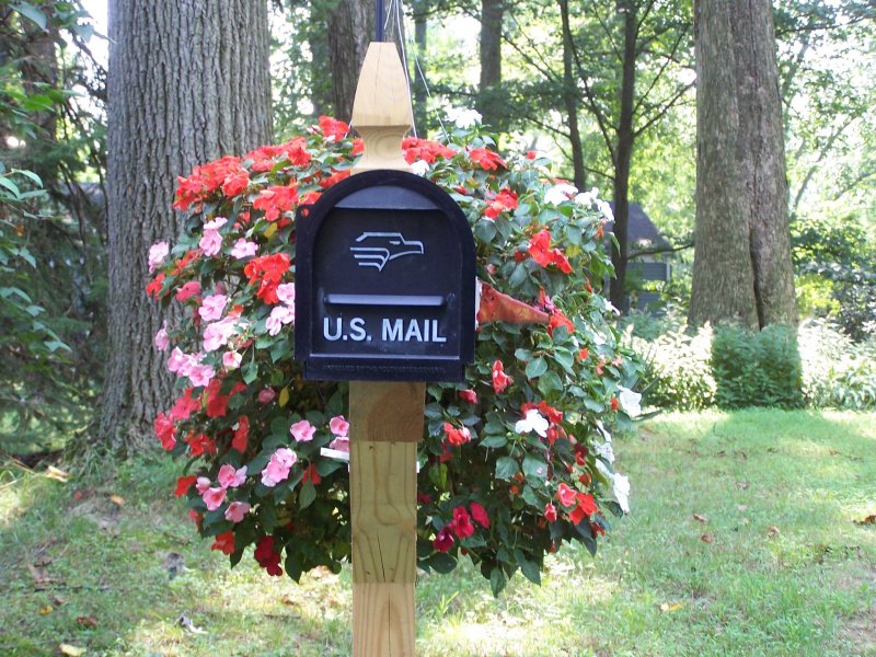 Mail box impatiencs.jpg