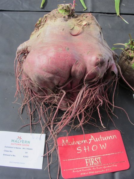 mas beetroot.jpg