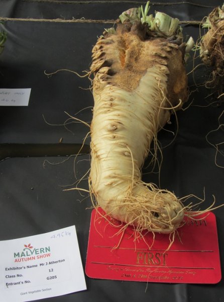 mas parsnip.jpg