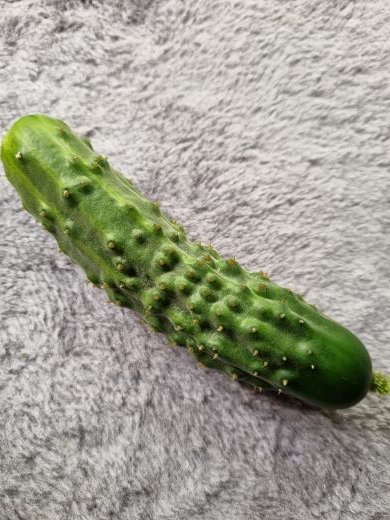 Mini Cuke.jpg