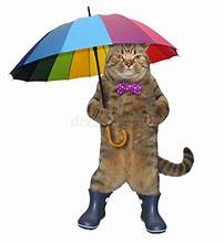 Morning Cat with Brolly Boots.jpeg