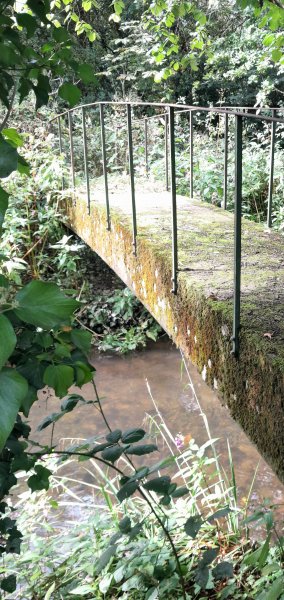 Mossy walkway to nowhere.jpg