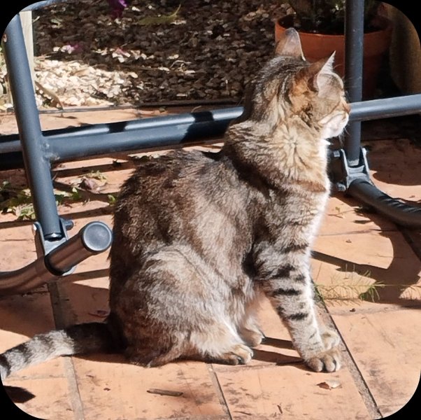 Munch in the Sun 30 Sep 24.jpg