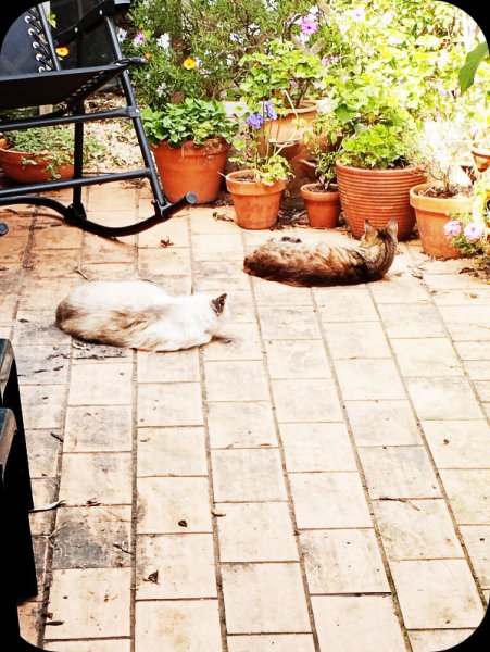 Munch & Van Sunning 4 Apr 24.jpg