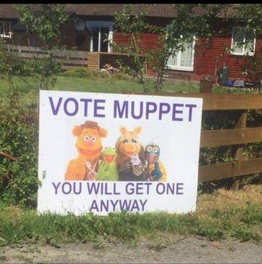 Muppet.jpg