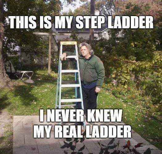 My stepladder.jpg