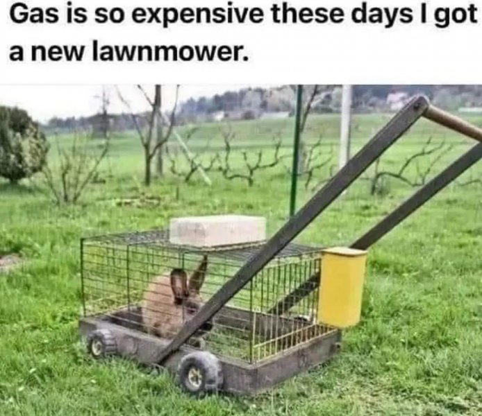 new lawnmower.jpg