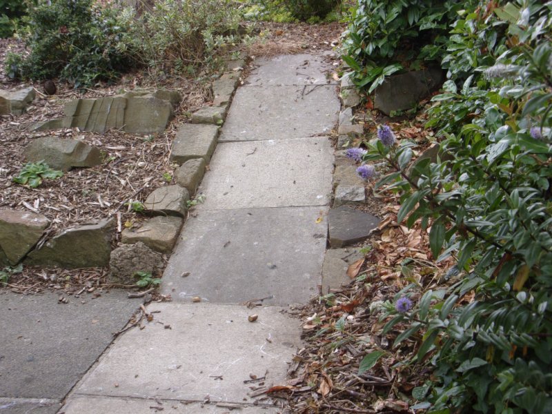 New steps_0004.JPG