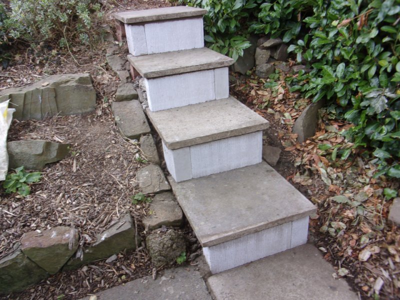 New steps_0009.JPG