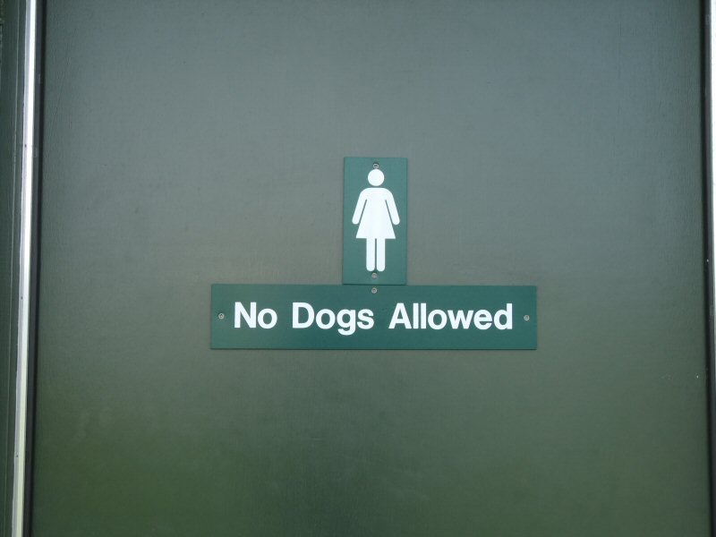 no Dogs.jpg