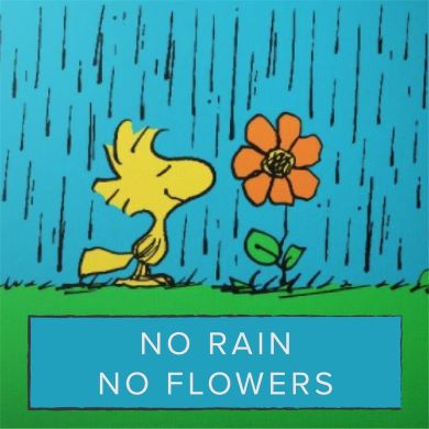 No rain no flowers.jpg