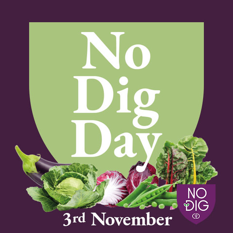 No_Dig_Day_3rdNov.jpeg