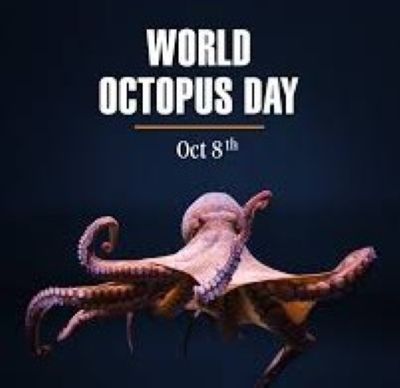 Octopus.jpg