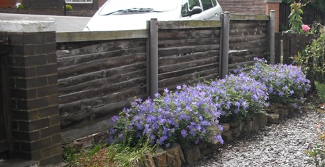 old fence, front.jpg