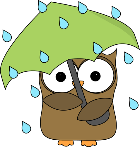 owl-in-the-rain.png