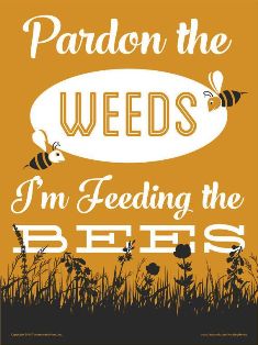 PARDON THE WEEDS IM FEEDING THE BEES.jpg