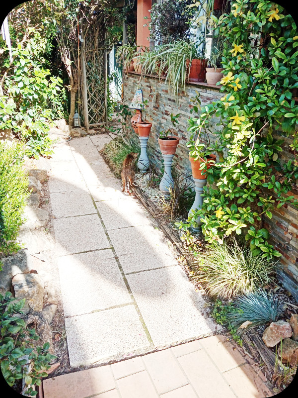 Path Pots on Pedestal 2 14 Apr 24.jpg