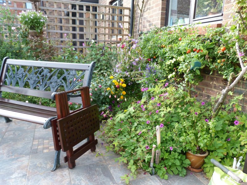 Patio piccie on 12 August 2012 001.JPG