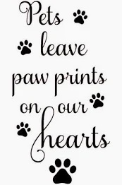 Paw prints.jpg