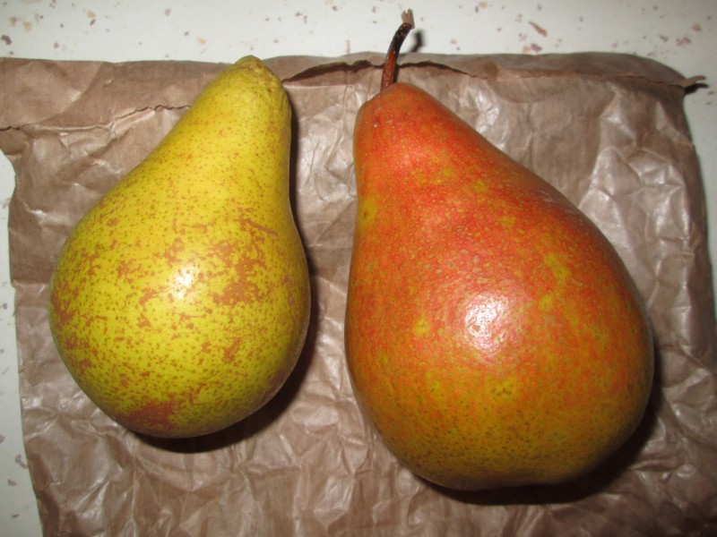 pears 003a.jpg