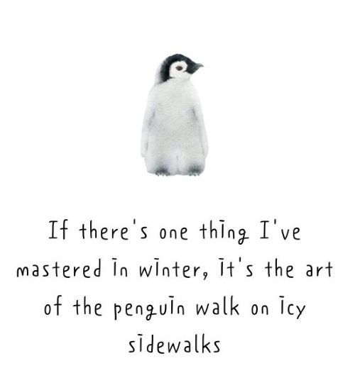 Penguin walk.jpg