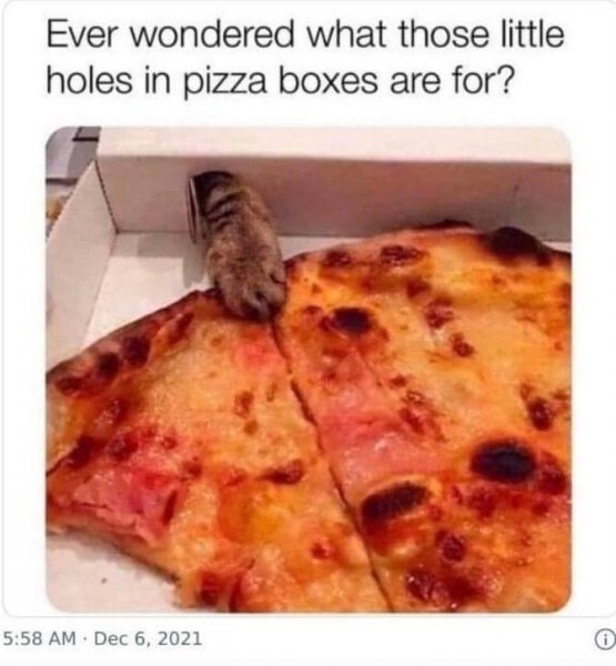 Pizza Cat.jpg