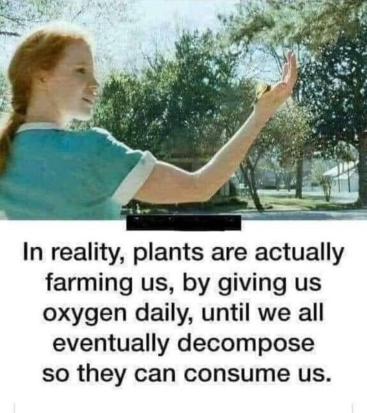 plants.jpg